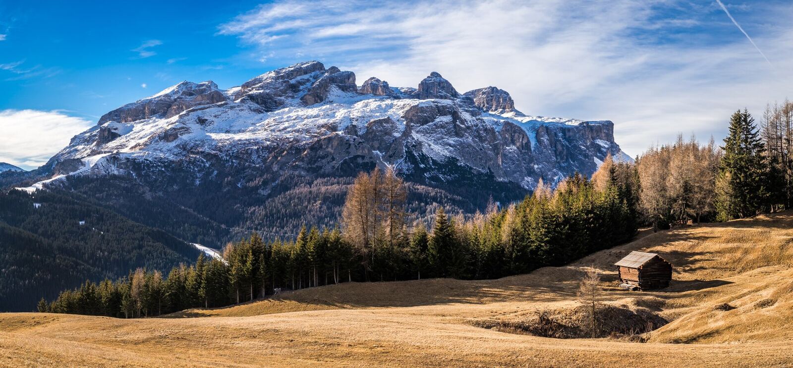 Dolomites | Body Feels Snow-capped mountains rise above a golden meadow, evoking feelings of peace and wellbeing.