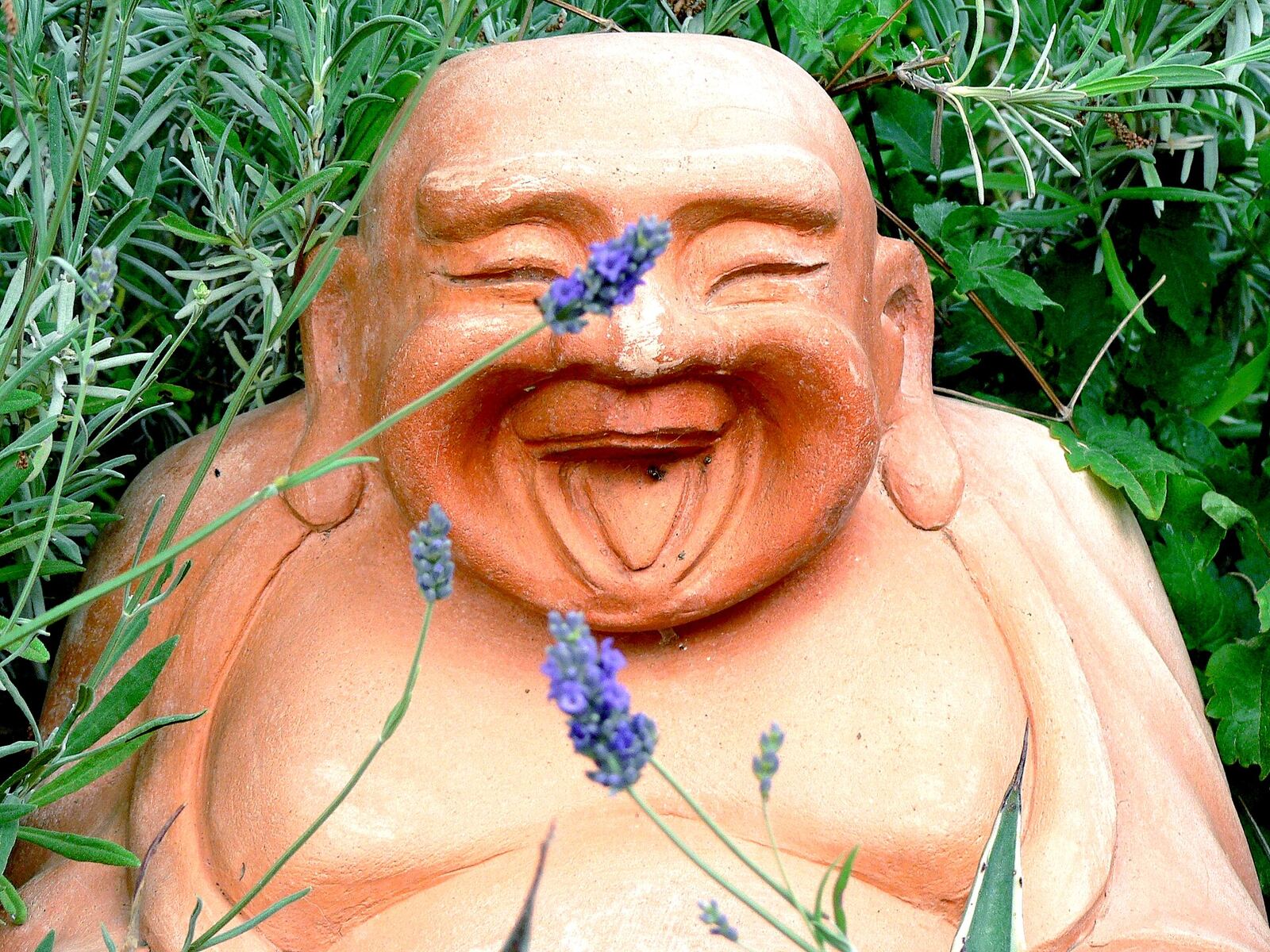 A terracotta statue of a smiling Buddha sits amongst lavender and greenery, representing mindfulness.