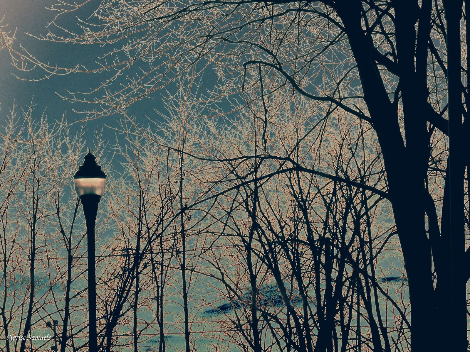 Winter Park | Body Feels A vintage lamppost illuminates a path through bare trees during a winter evening walk, inviting mindfulness.